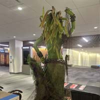 Ohio Pirate Con